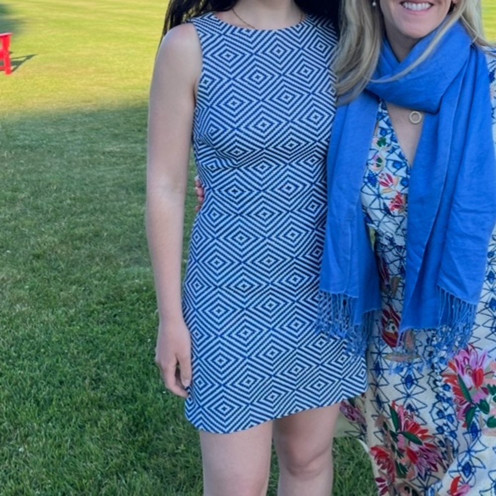 Blue and White Spring Mid-Thigh Length Mini Dress